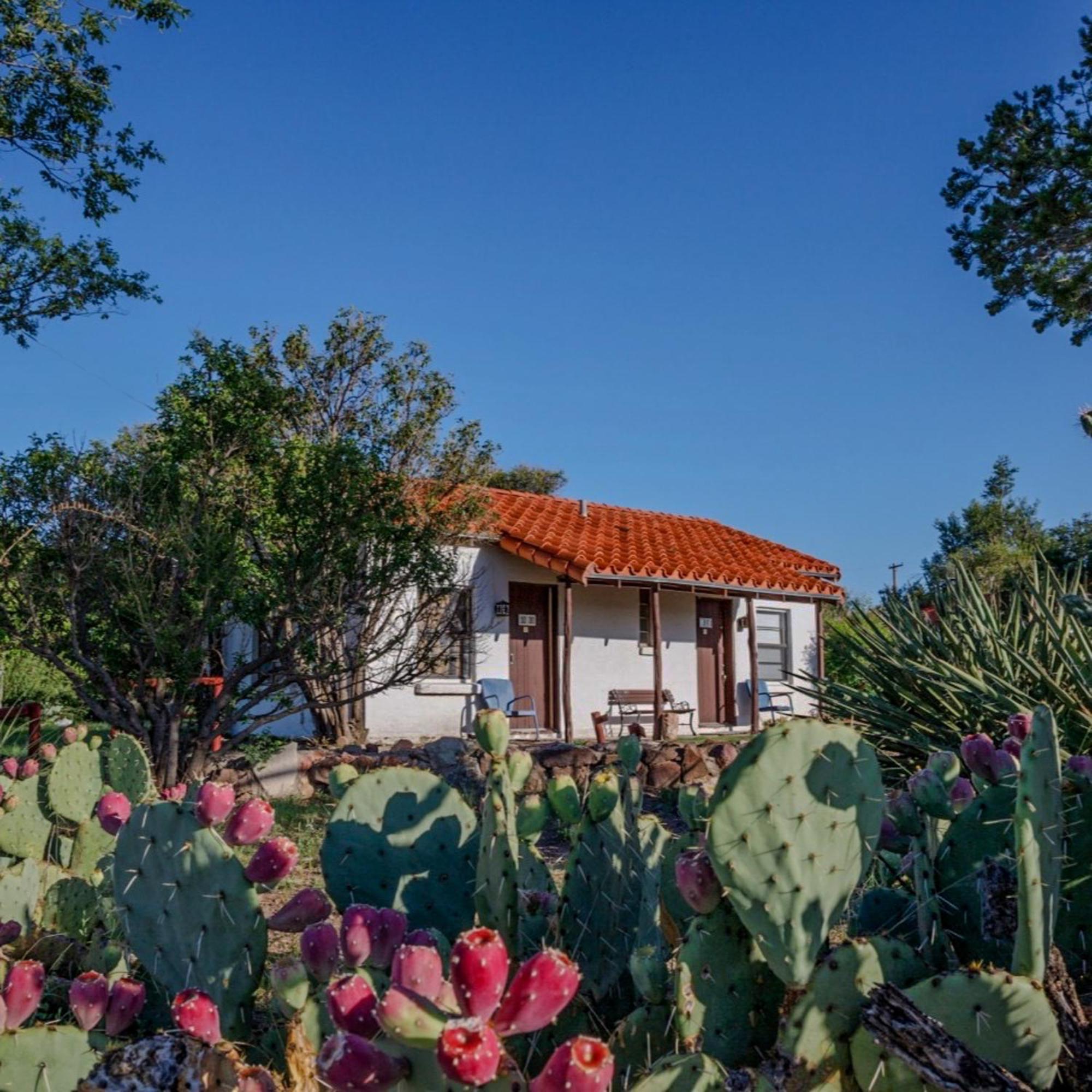 Antelope Lodge Alpine Bagian luar foto